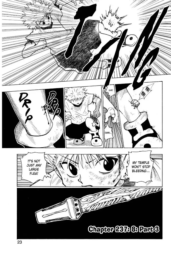 Hunter X Hunter - Chapter 237 Page 1