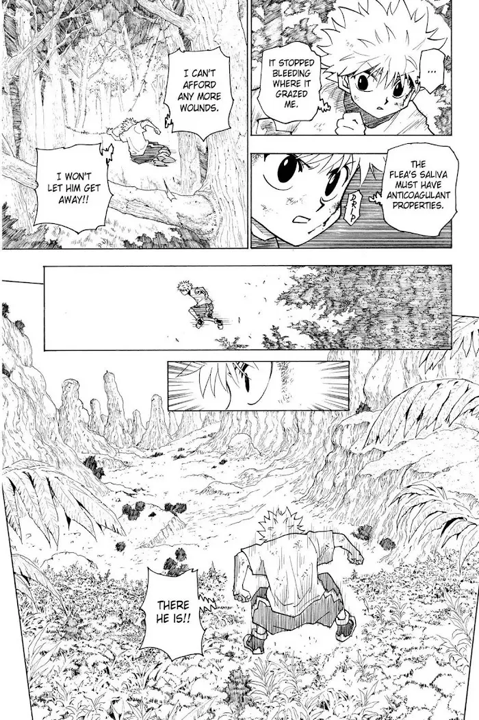 Hunter X Hunter - Chapter 237 Page 10