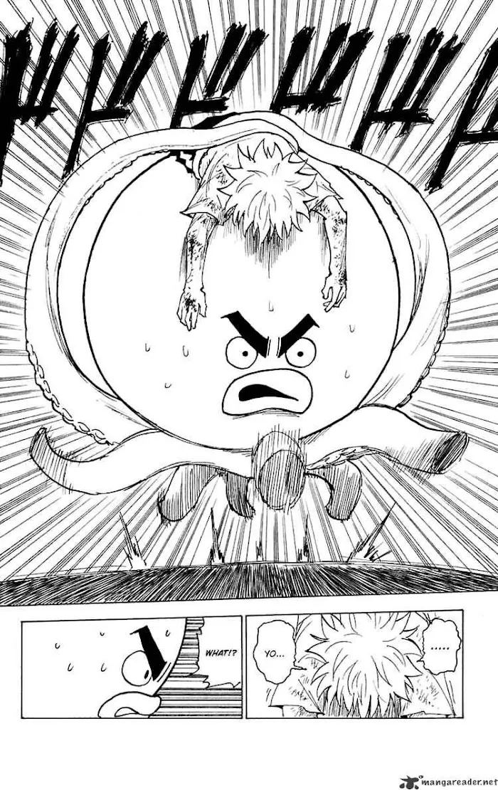 Hunter X Hunter - Chapter 241 Page 8