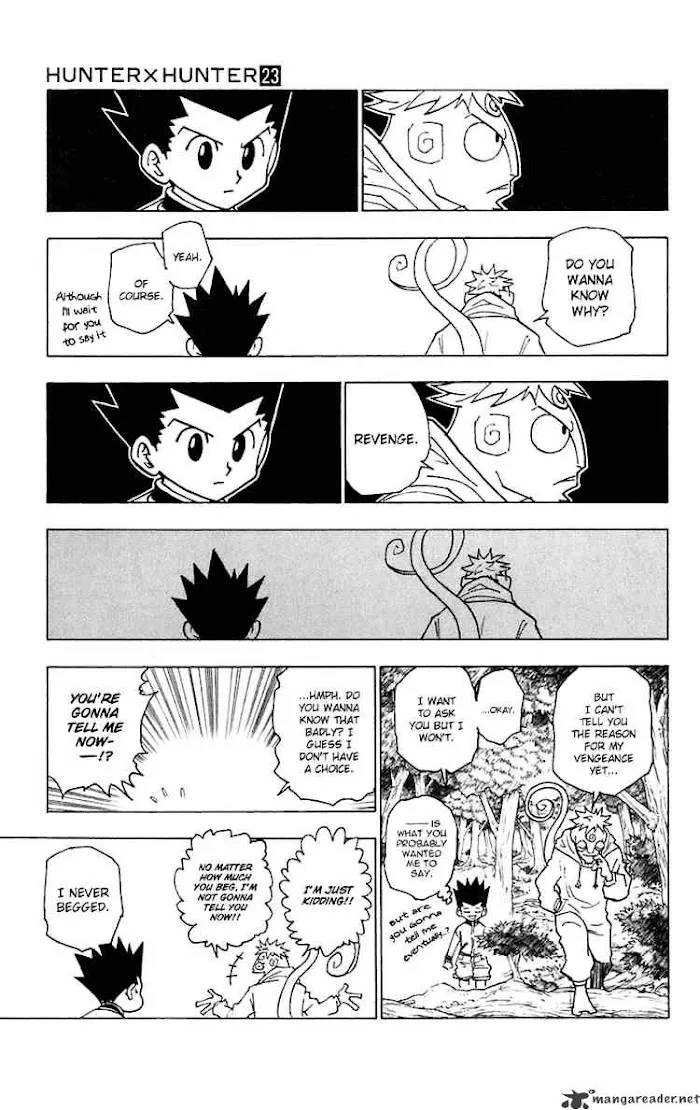 Hunter X Hunter - Chapter 242 Page 11