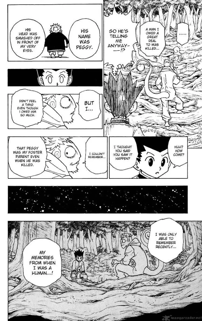 Hunter X Hunter - Chapter 242 Page 12
