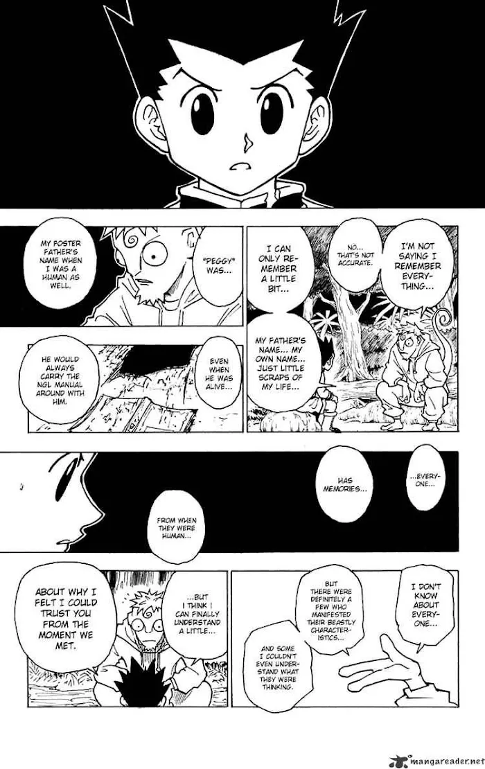 Hunter X Hunter - Chapter 242 Page 13
