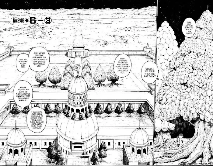 Hunter X Hunter - Chapter 246 Page 2