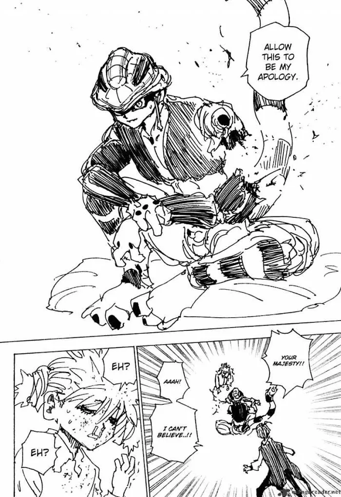 Hunter X Hunter - Chapter 249 Page 8