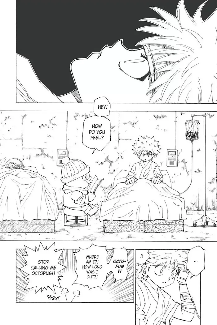Hunter X Hunter - Chapter 255 Page 3