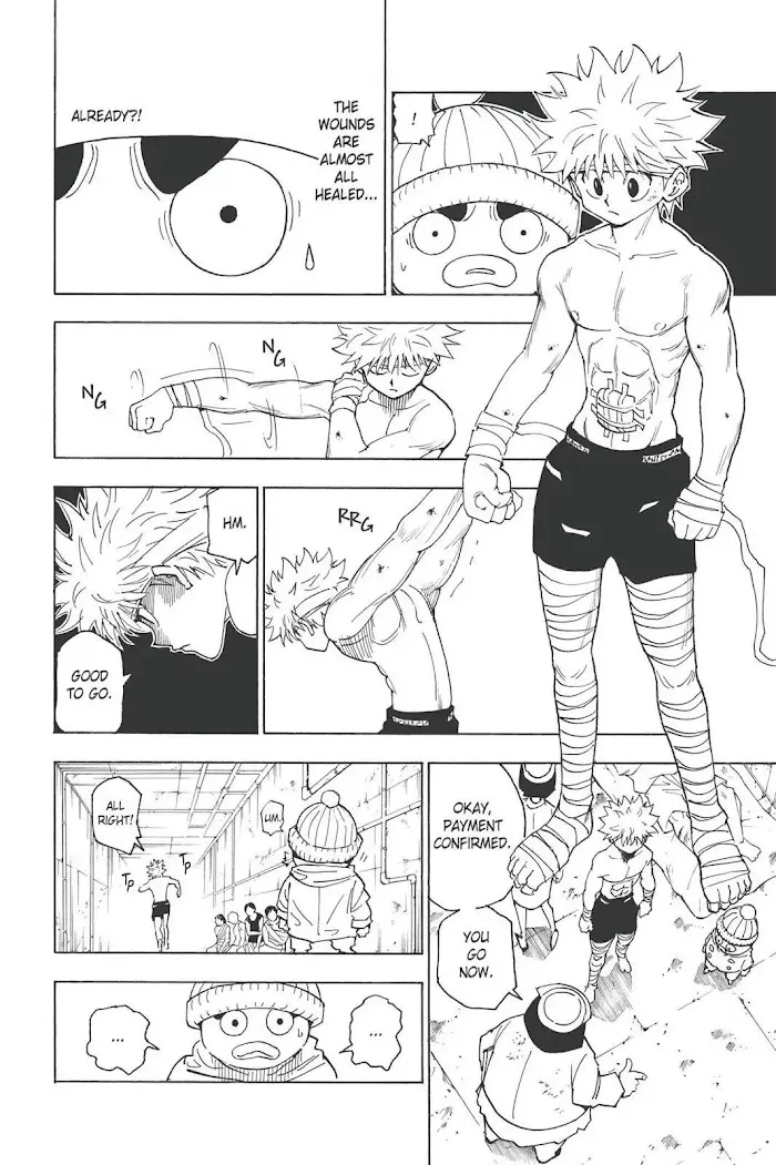Hunter X Hunter - Chapter 255 Page 7