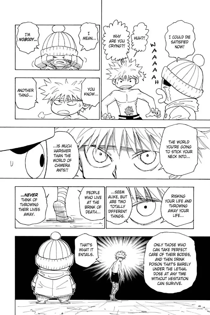 Hunter X Hunter - Chapter 255 Page 11