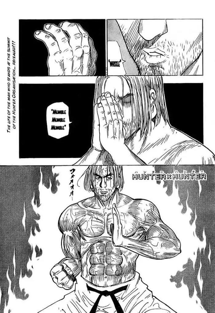 Hunter X Hunter - Chapter 265 Page 3