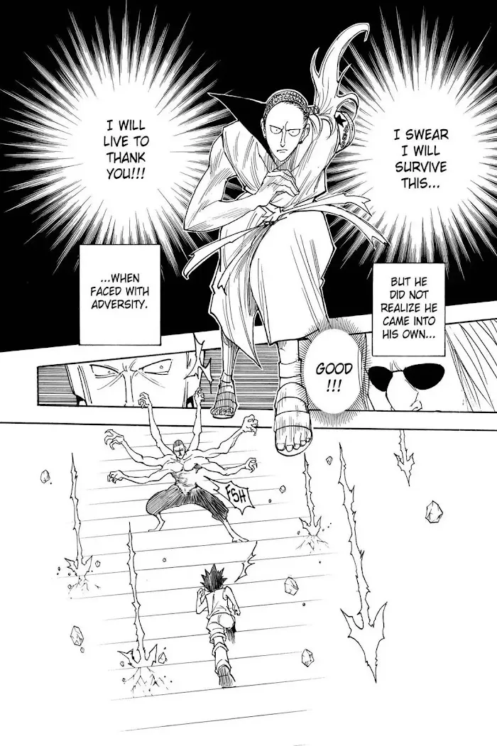 Hunter X Hunter - Chapter 266 Page 13