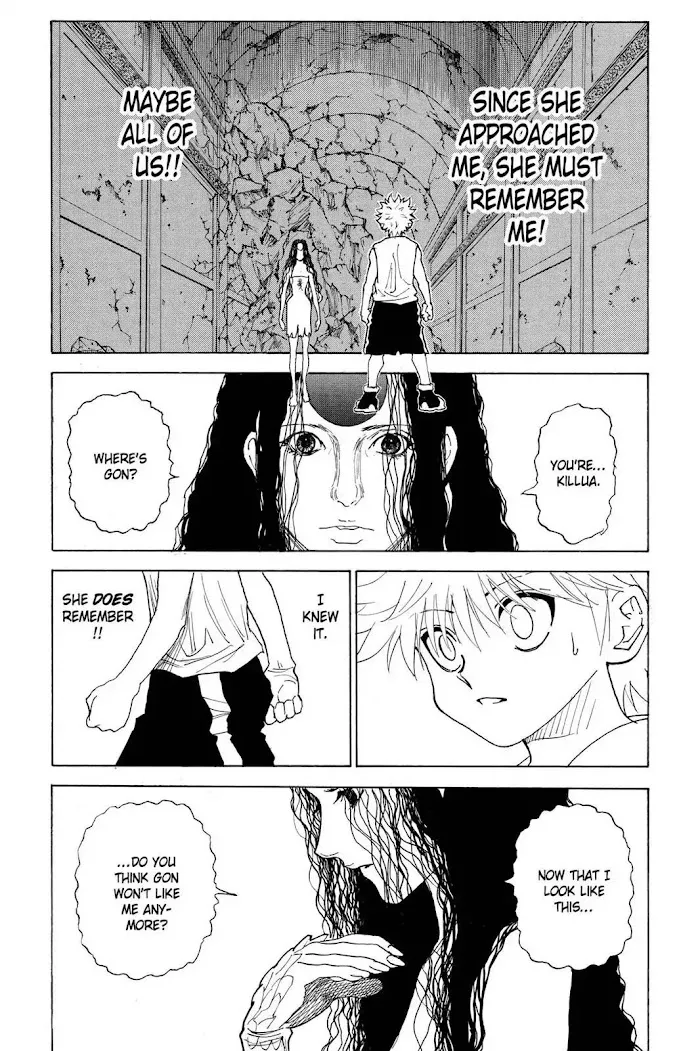 Hunter X Hunter - Chapter 293 Page 9