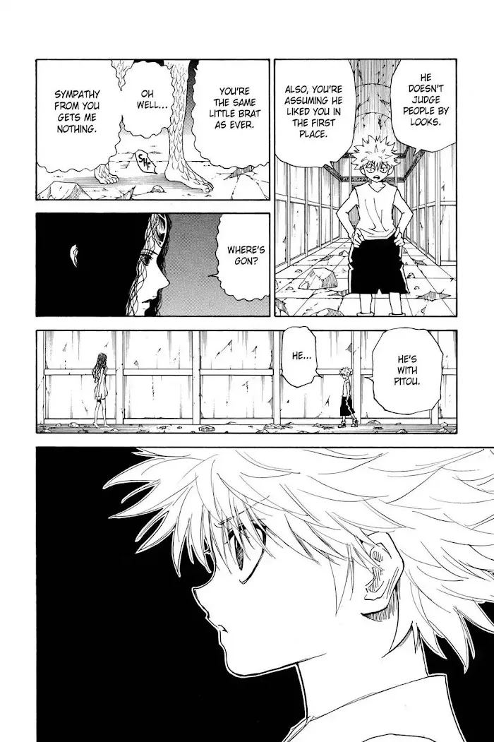 Hunter X Hunter - Chapter 293 Page 10