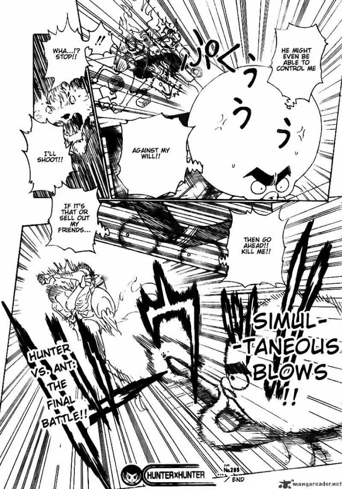 Hunter X Hunter - Chapter 295 Page 19