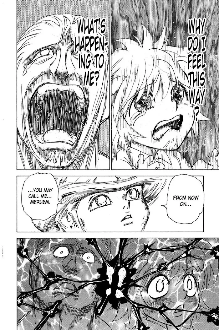 Hunter X Hunter - Chapter 299 Page 14