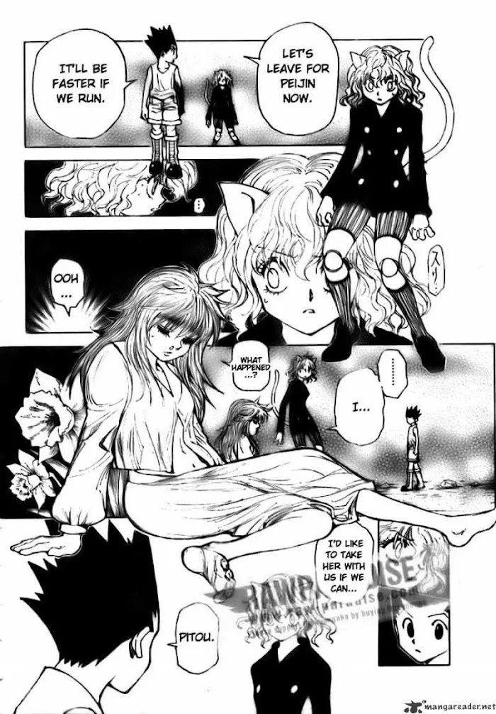Hunter X Hunter - Chapter 300 Page 12