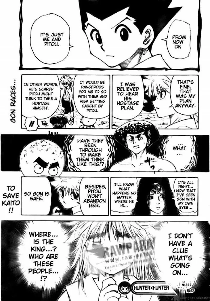Hunter X Hunter - Chapter 300 Page 19