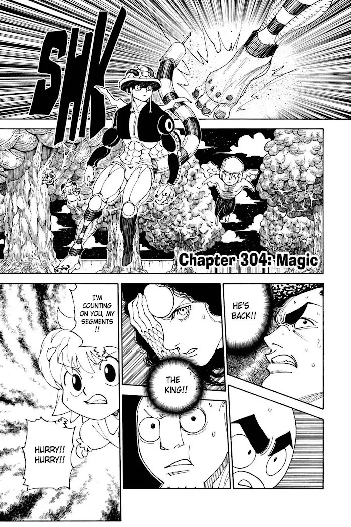 Hunter X Hunter - Chapter 304 Page 1