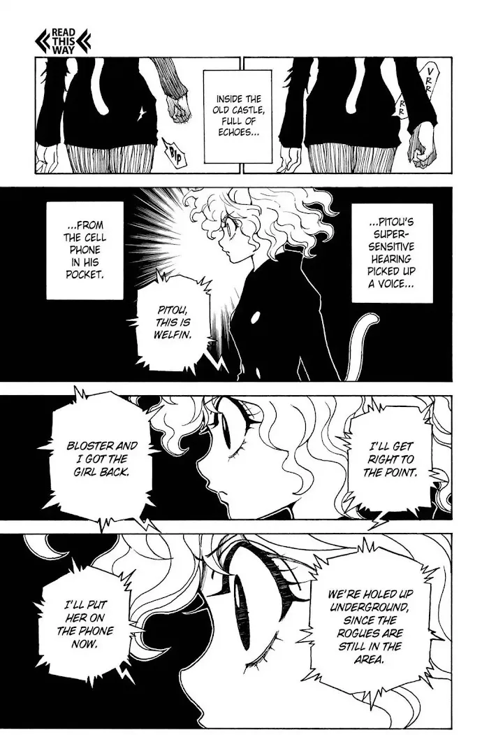 Hunter X Hunter - Chapter 304 Page 8