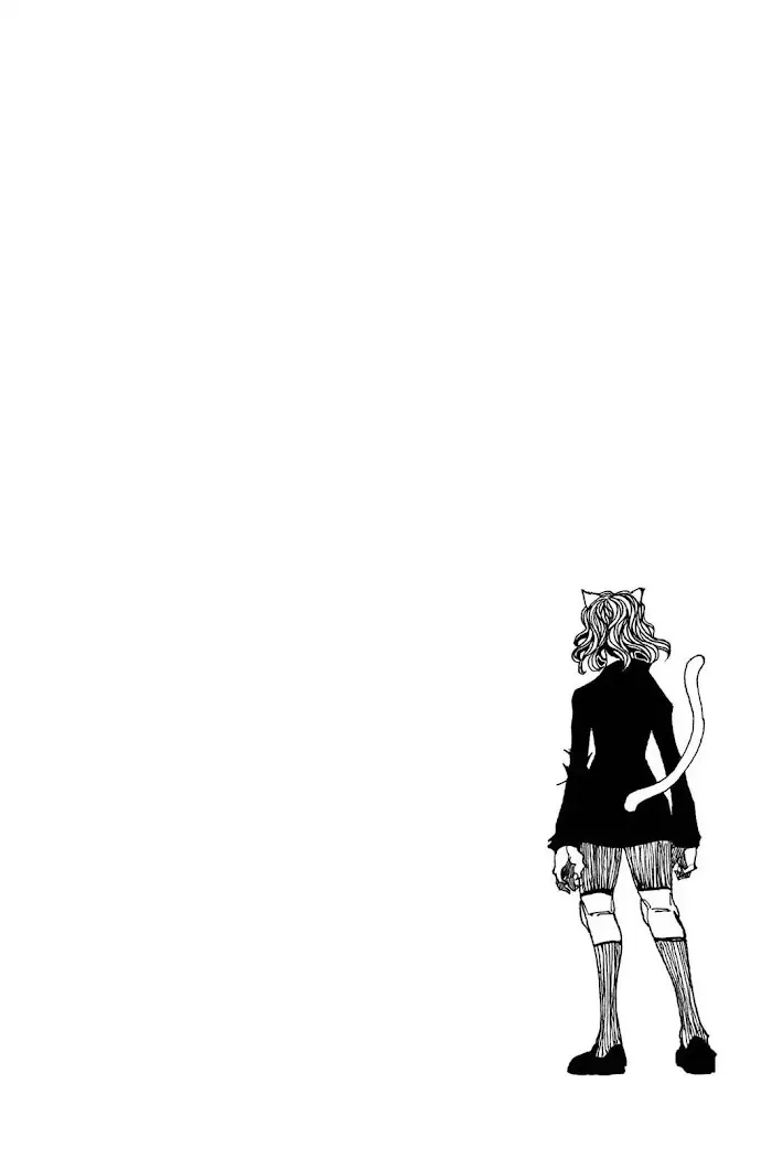 Hunter X Hunter - Chapter 304 Page 18