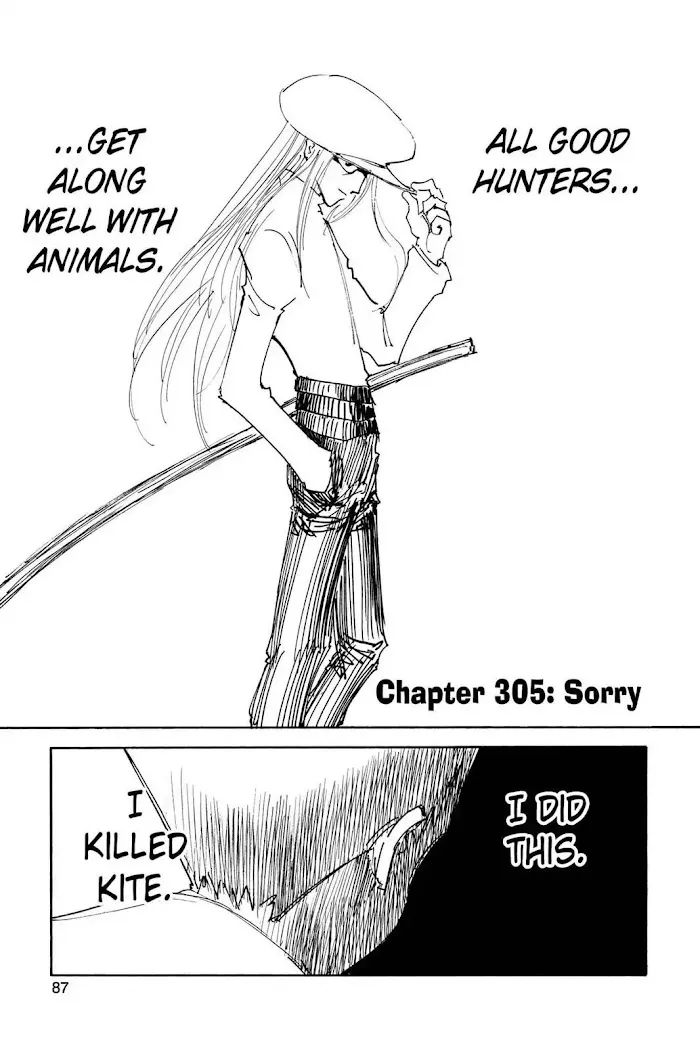 Hunter X Hunter - Chapter 305 Page 1