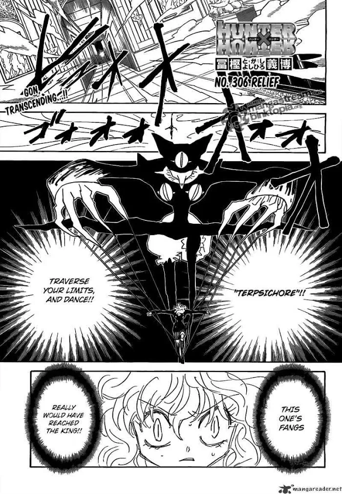 Hunter X Hunter - Chapter 306 Page 1