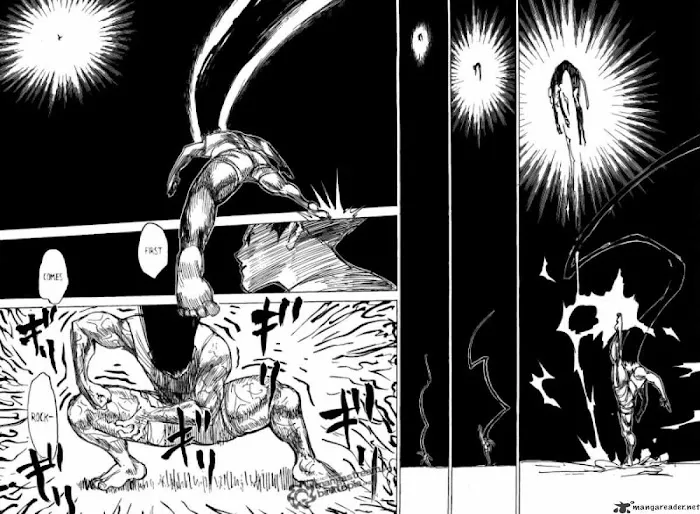 Hunter X Hunter - Chapter 306 Page 9