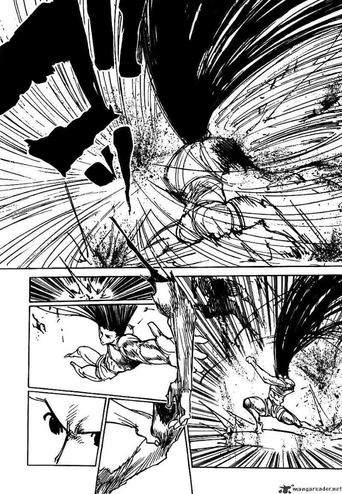 Hunter X Hunter - Chapter 307 Page 13