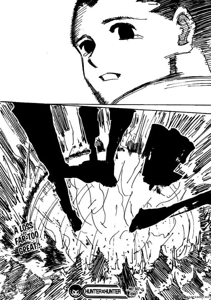 Hunter X Hunter - Chapter 307 Page 17