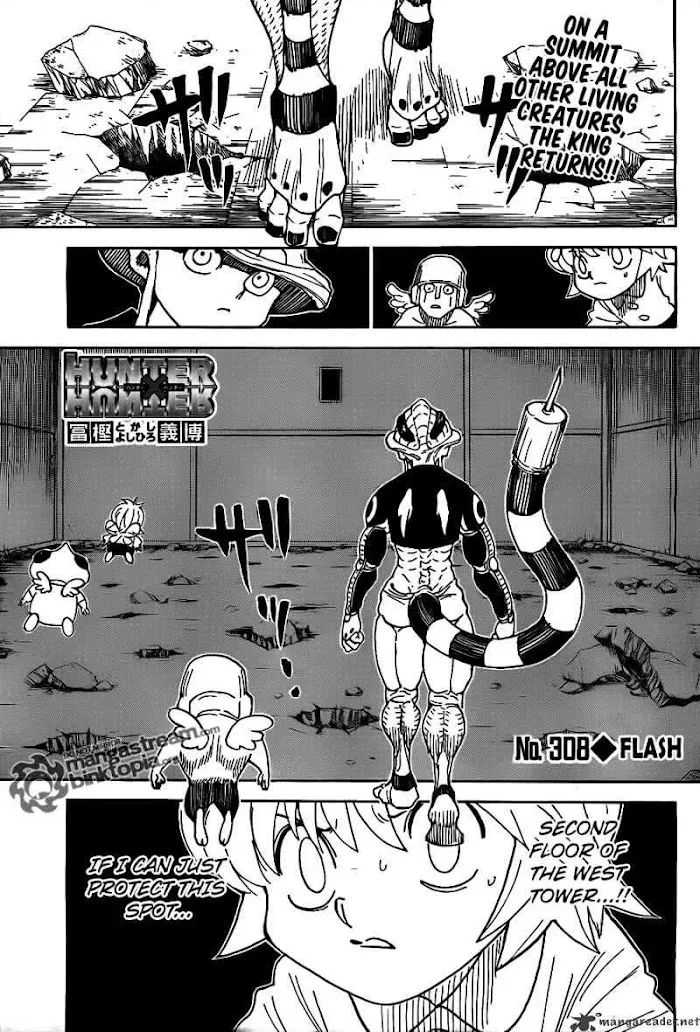 Hunter X Hunter - Chapter 308 Page 1