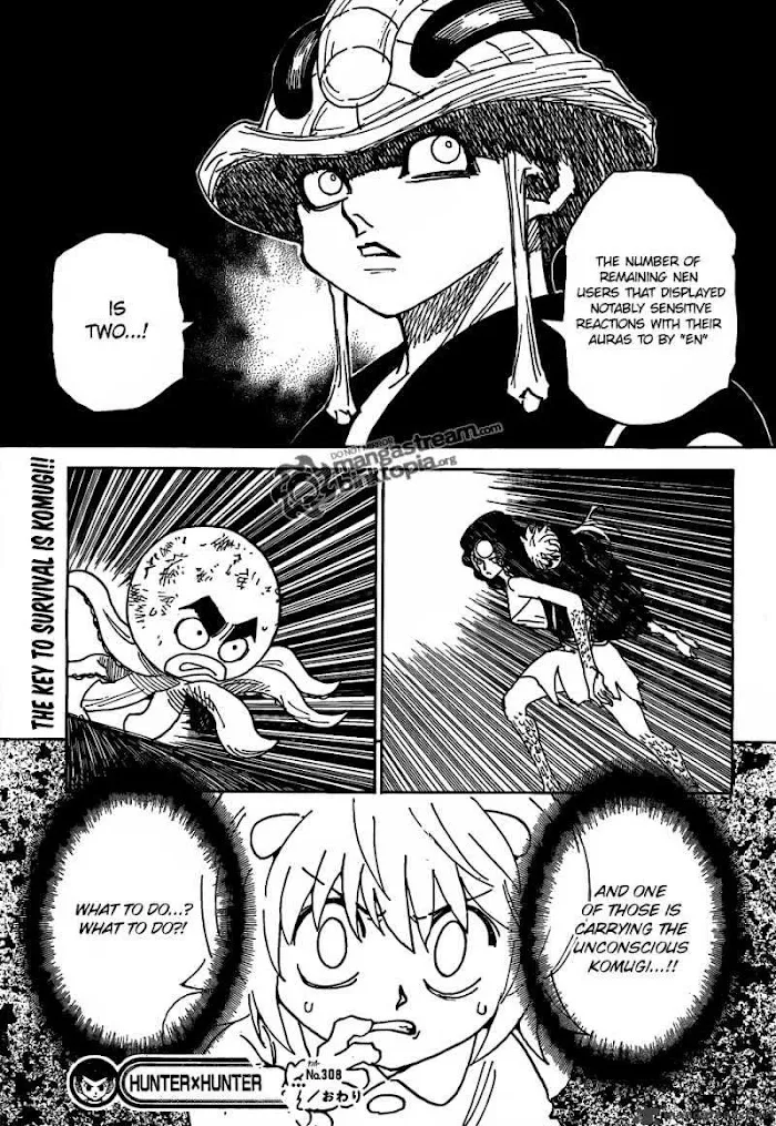 Hunter X Hunter - Chapter 308 Page 17