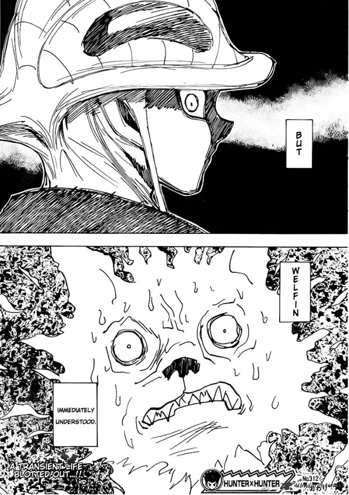 Hunter X Hunter - Chapter 312 Page 19