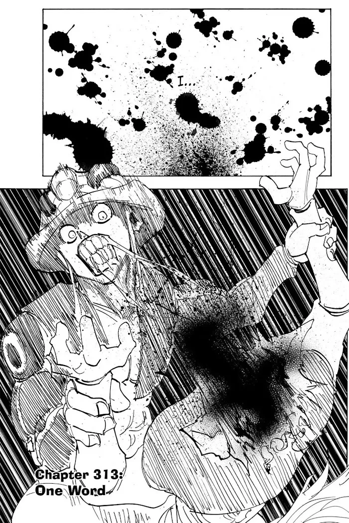 Hunter X Hunter - Chapter 313 Page 1