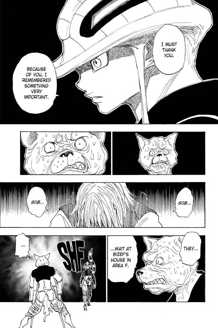 Hunter X Hunter - Chapter 313 Page 12