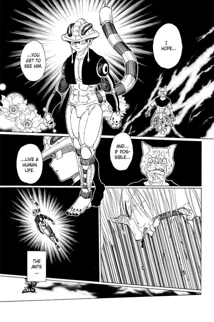 Hunter X Hunter - Chapter 313 Page 14