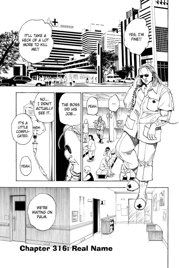 Hunter X Hunter - Chapter 316 Page 1