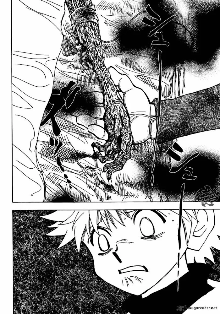Hunter X Hunter - Chapter 333 Page 10
