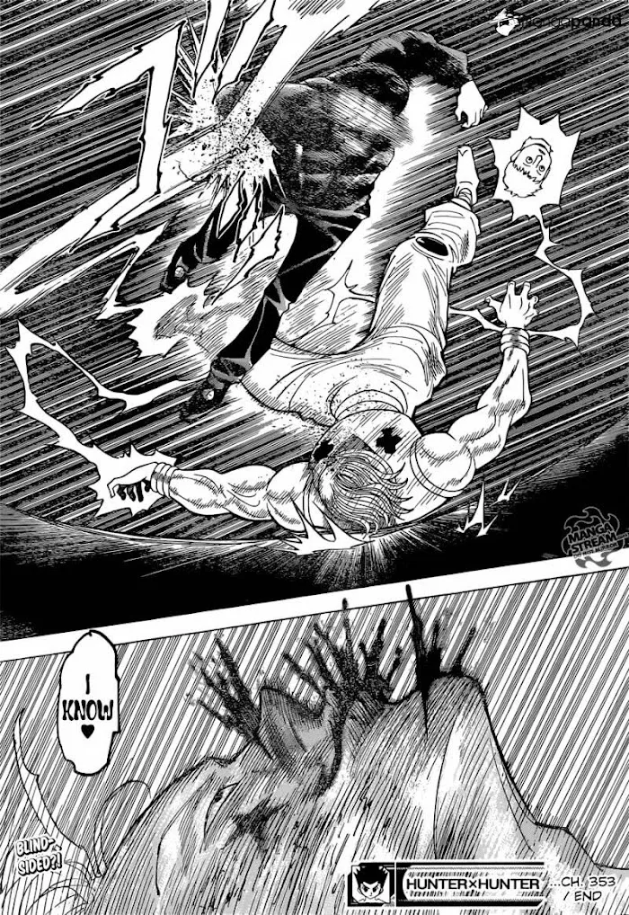 Hunter X Hunter - Chapter 353 Page 19