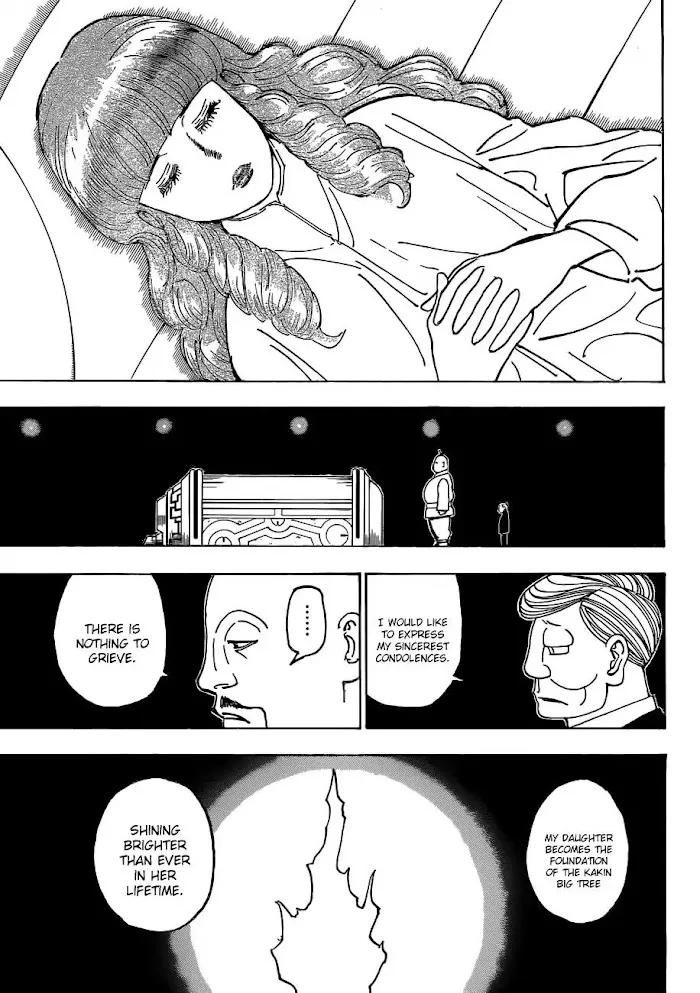 Hunter X Hunter - Chapter 371 Page 19