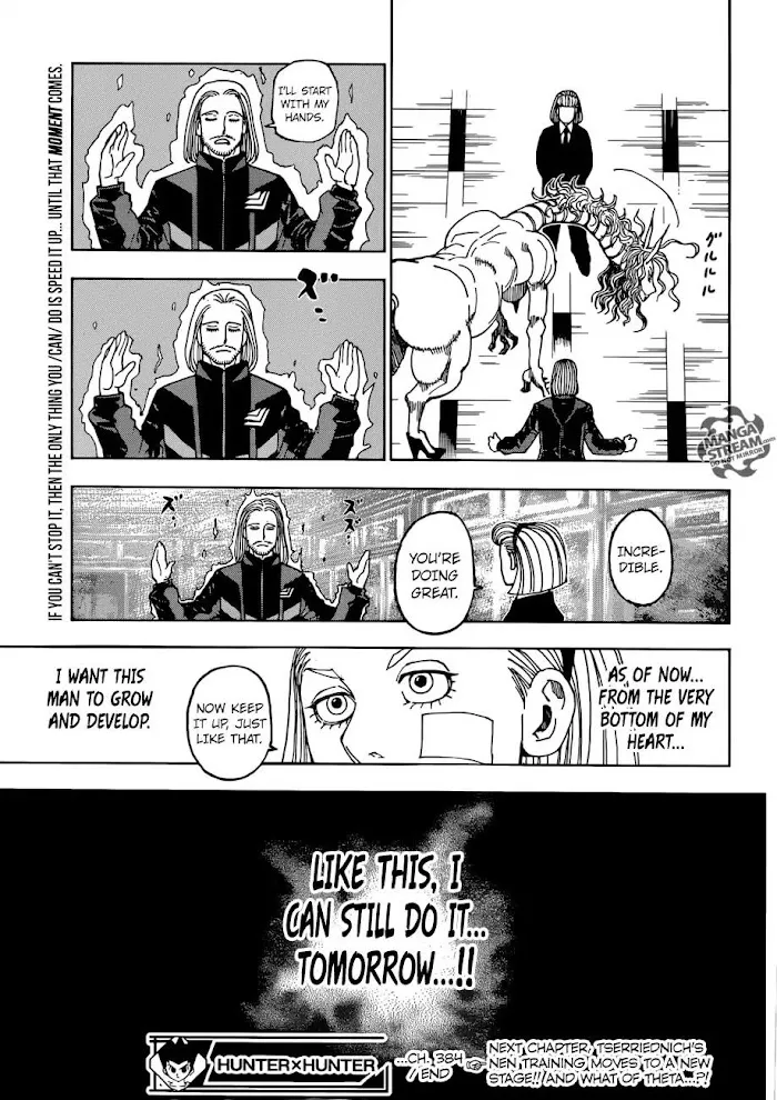 Hunter X Hunter - Chapter 384 Page 17