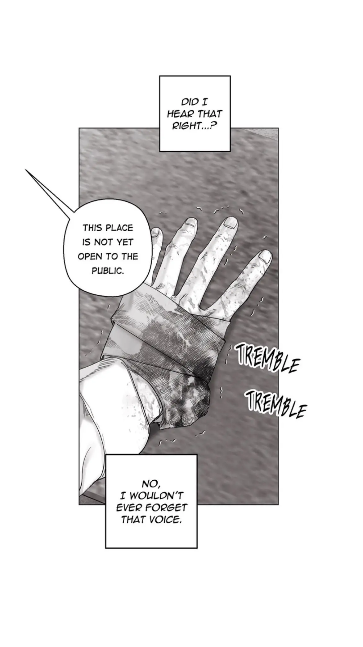 Indomitable Champion - Chapter 45 Page 16
