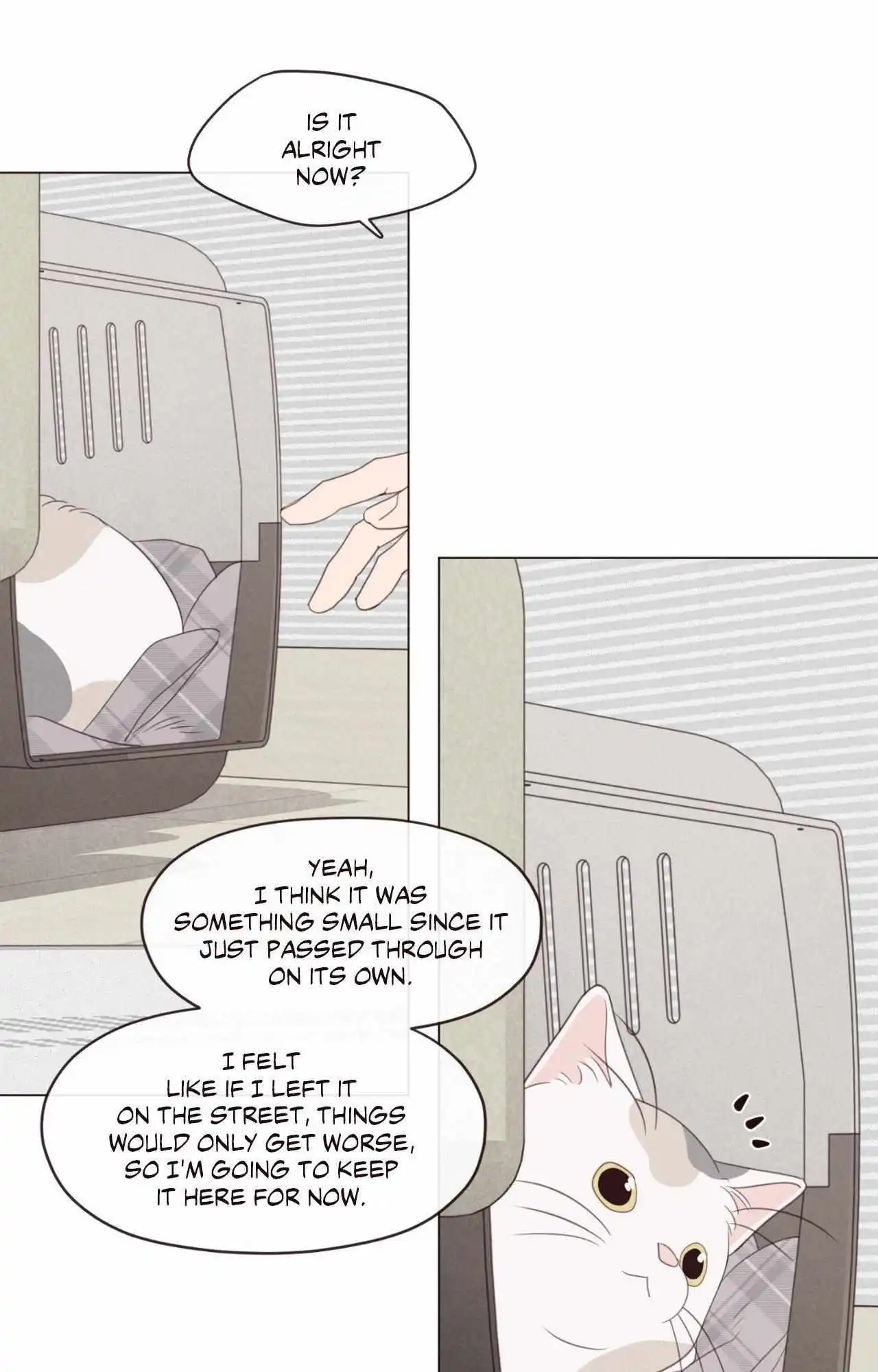 Fate Makes No Mistakes - Chapter 156 Page 57