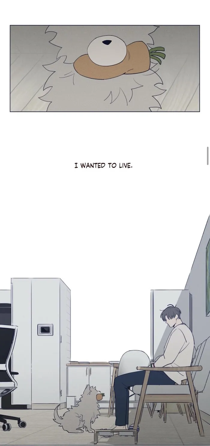 Fate Makes No Mistakes - Chapter 38 Page 11