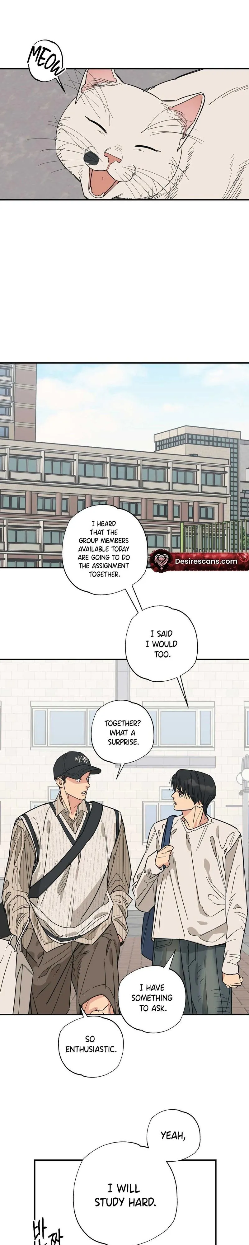 Cat Choice - Chapter 11 Page 19