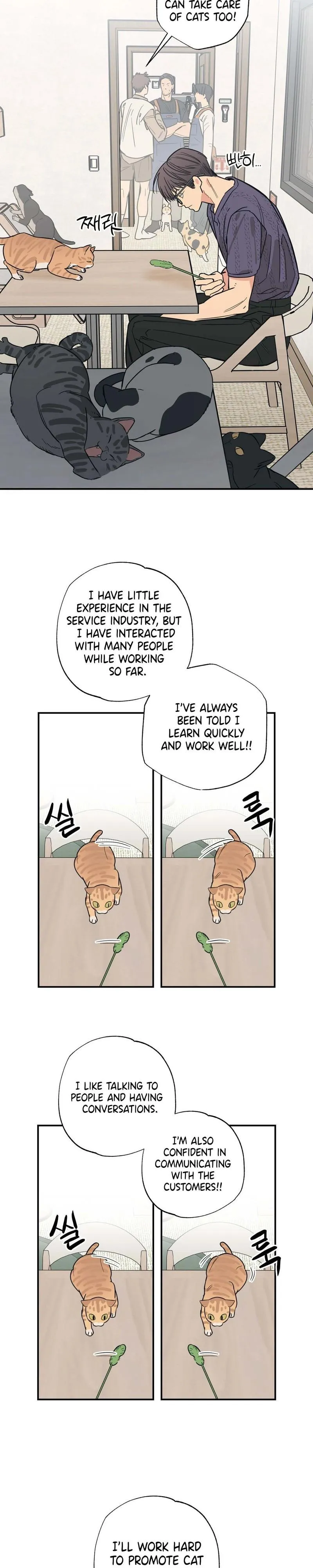 Cat Choice - Chapter 12 Page 13
