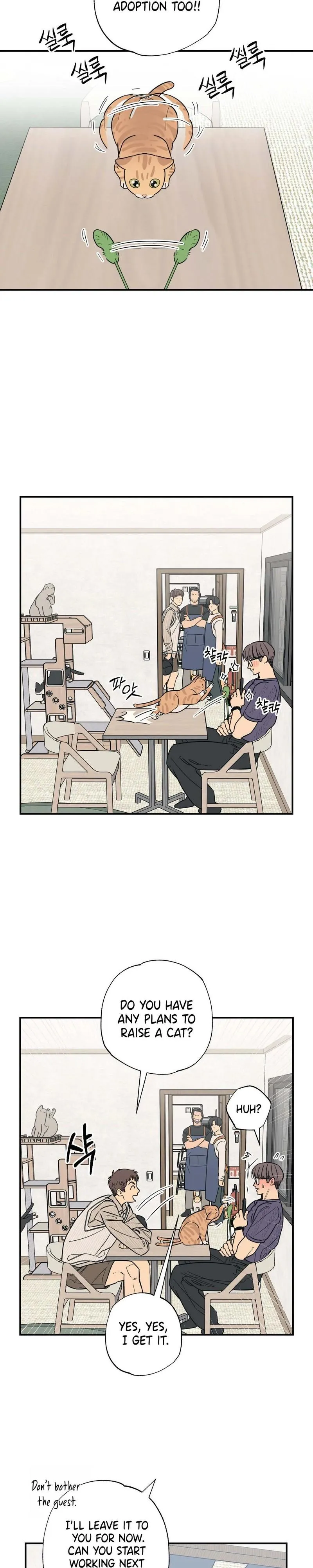 Cat Choice - Chapter 12 Page 14
