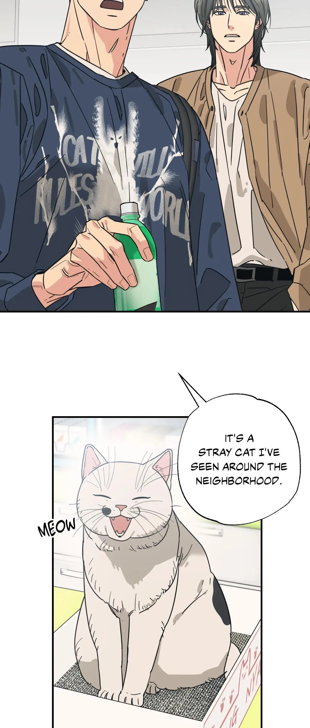 Cat Choice - Chapter 18 Page 33