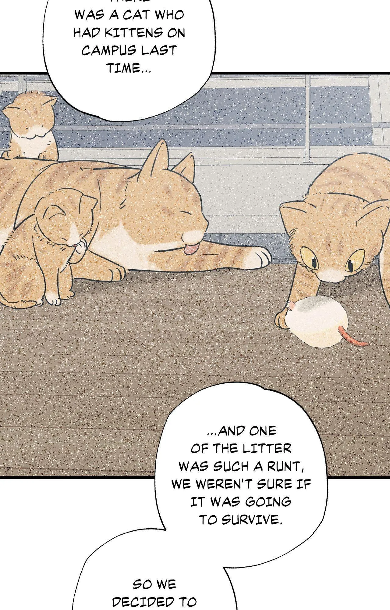 Cat Choice - Chapter 25 Page 22