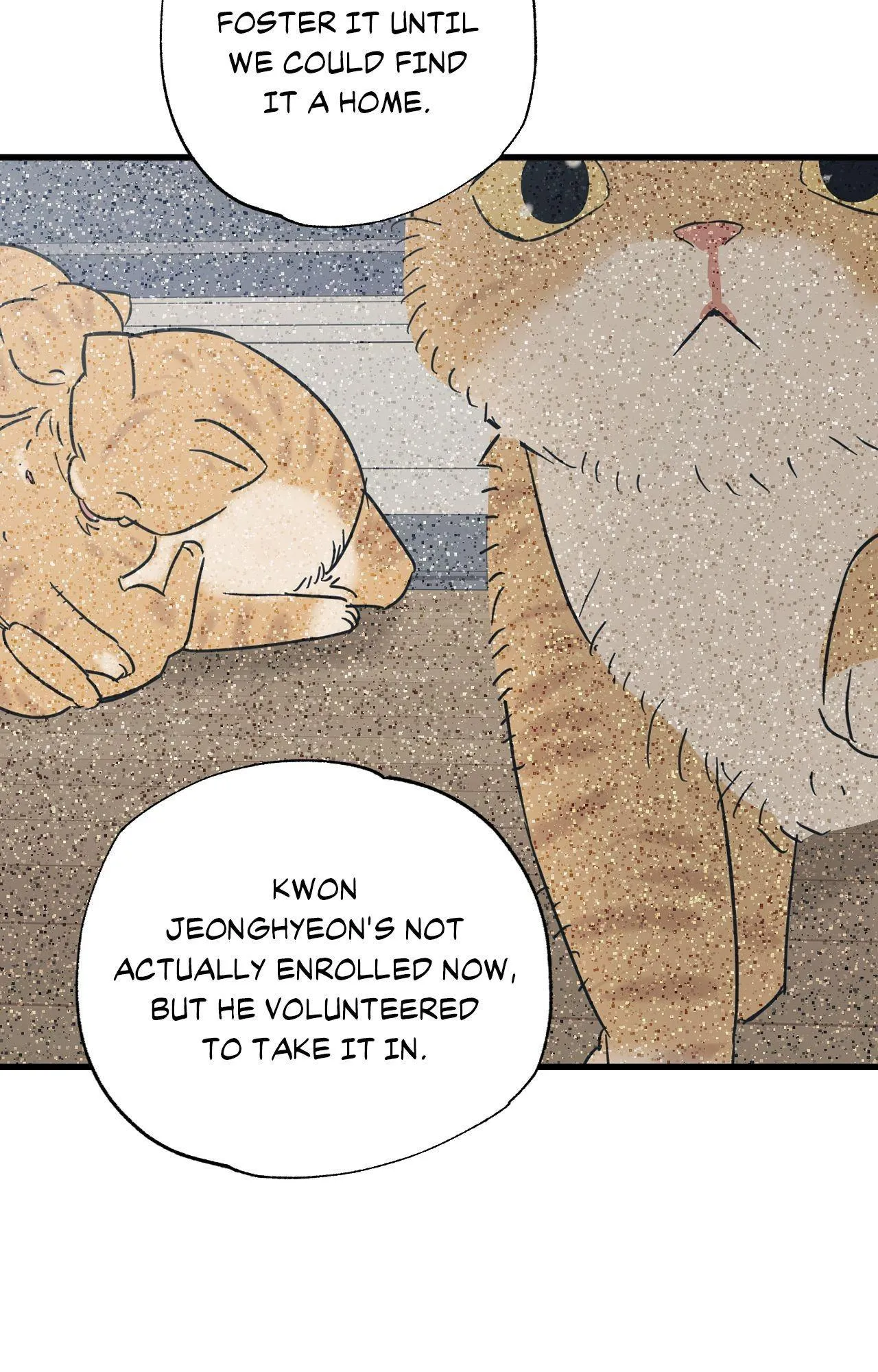 Cat Choice - Chapter 25 Page 23