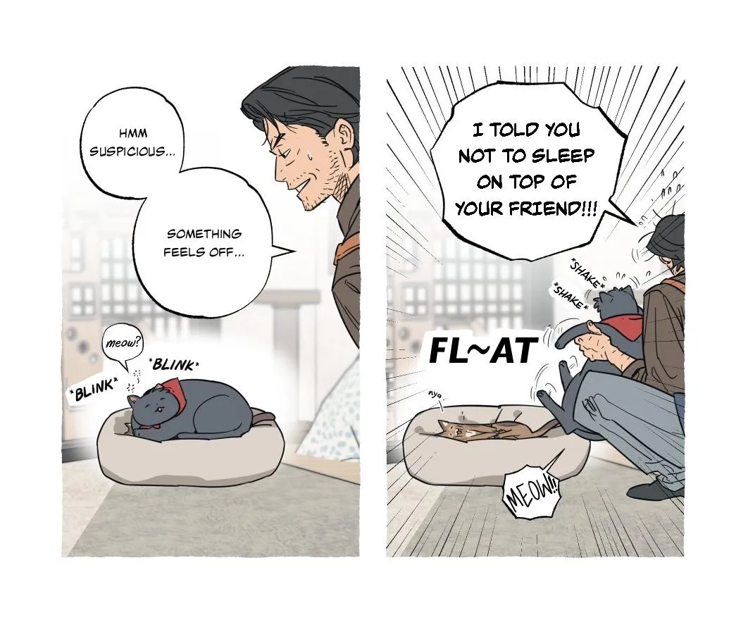 Cat Choice - Chapter 27.02 Page 5