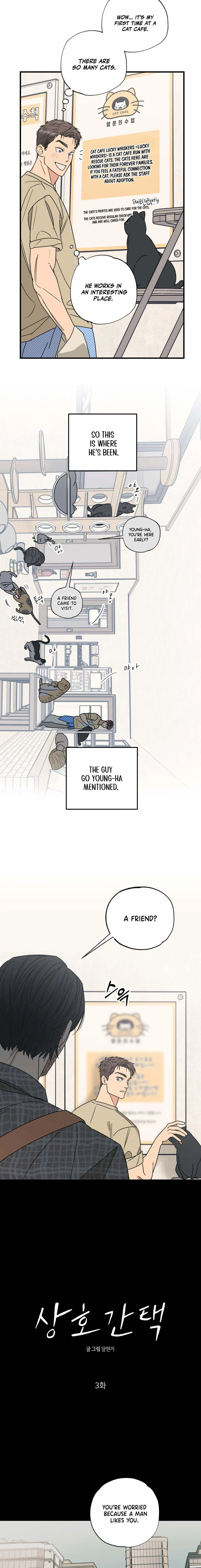 Cat Choice - Chapter 3 Page 3