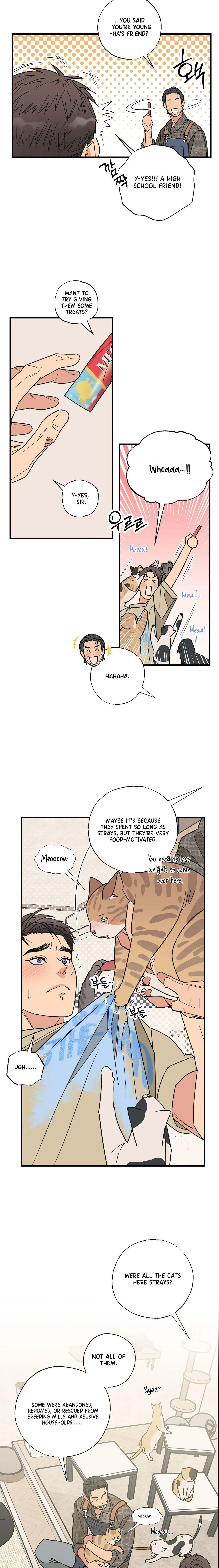Cat Choice - Chapter 3 Page 7